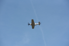 IPJ_7236