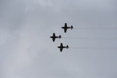 IPJ_7282