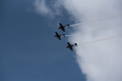 IPJ_7286