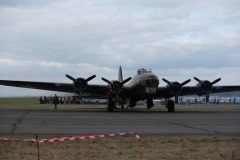 IPJ_7418