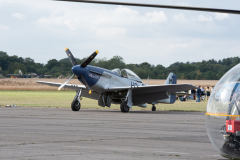IPJ_7537