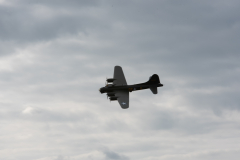 IPJ_7604