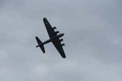 IPJ_7625