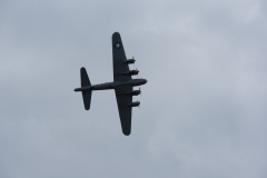 IPJ_7629