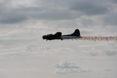 IPJ_7684