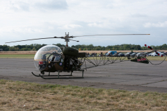 IPJ_7865