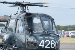IPJ_7904