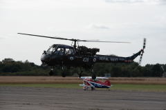 IPJ_7921