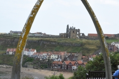 DSC_1530